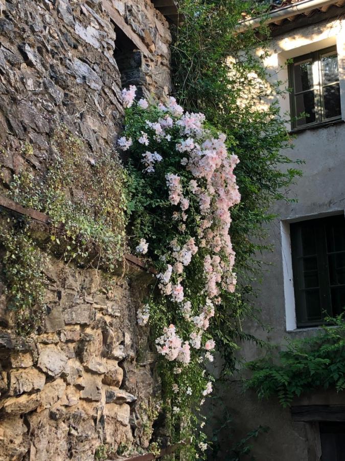 La Provence Authentique A 30 Minutes Des Plages Apartment Collobrieres Bagian luar foto