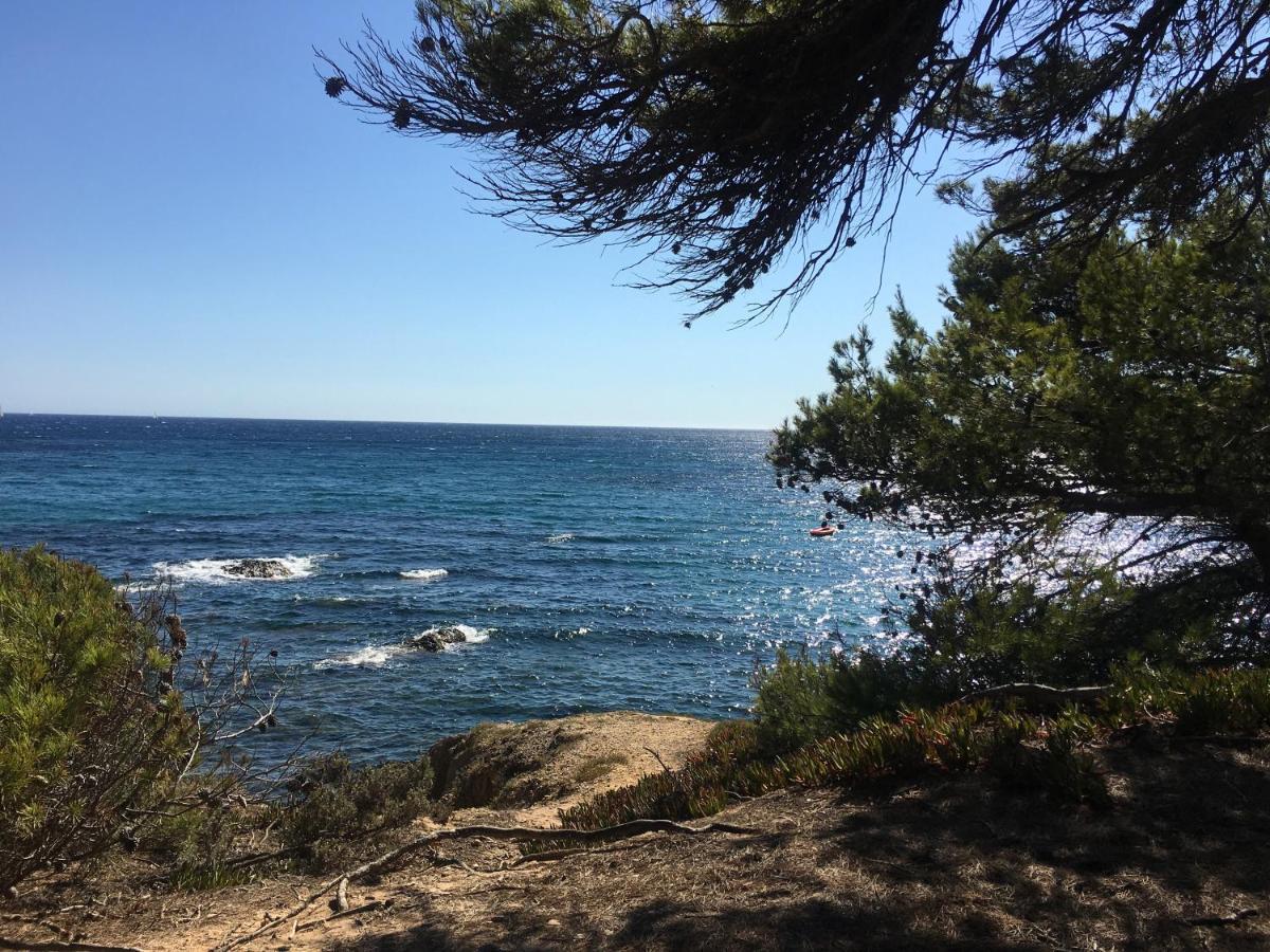 La Provence Authentique A 30 Minutes Des Plages Apartment Collobrieres Bagian luar foto