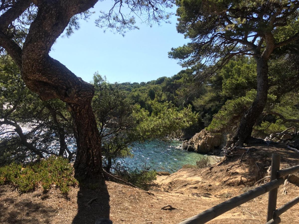 La Provence Authentique A 30 Minutes Des Plages Apartment Collobrieres Bagian luar foto